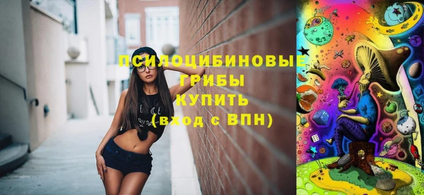 spice Сатка