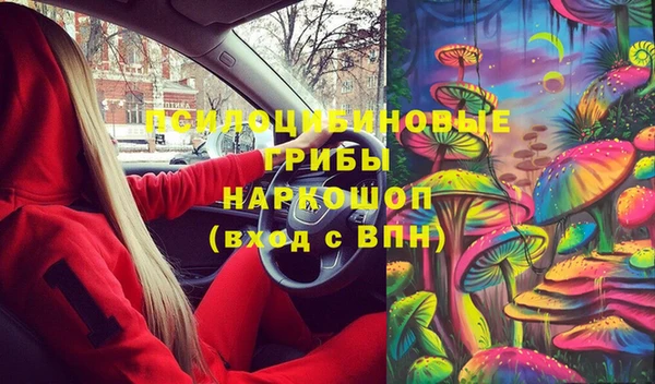 spice Сатка