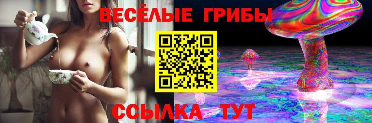 Псилоцибиновые грибы мицелий  Псилоцибиновые грибы мицелий  Сертолово  Вход с VPN 